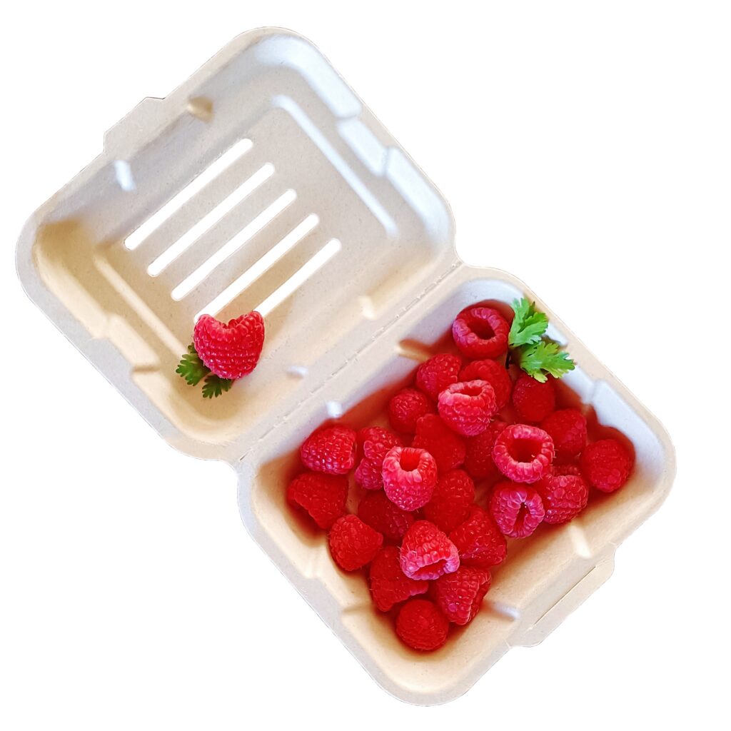 Compostable Packaging KX Pack Your Direct Packaging Producer